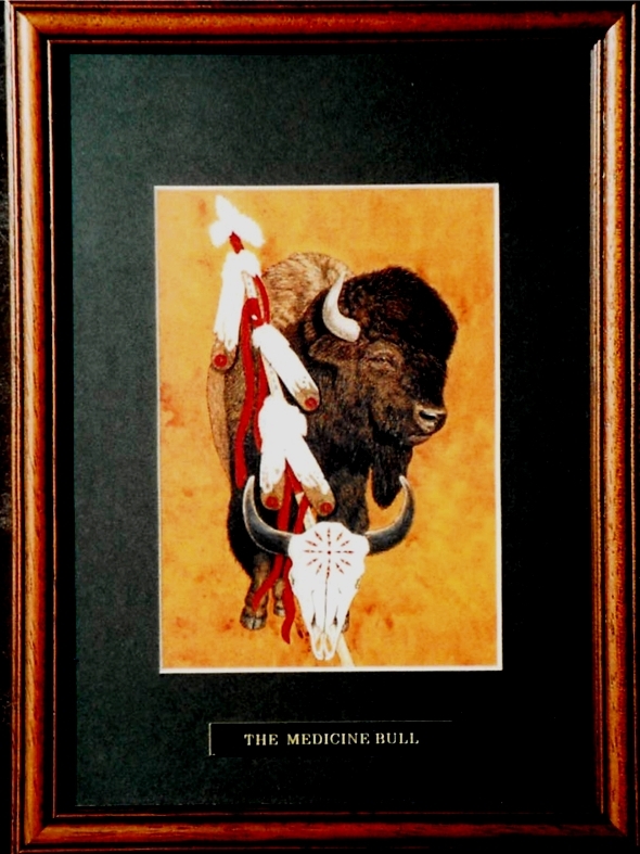 The Medicine Bull